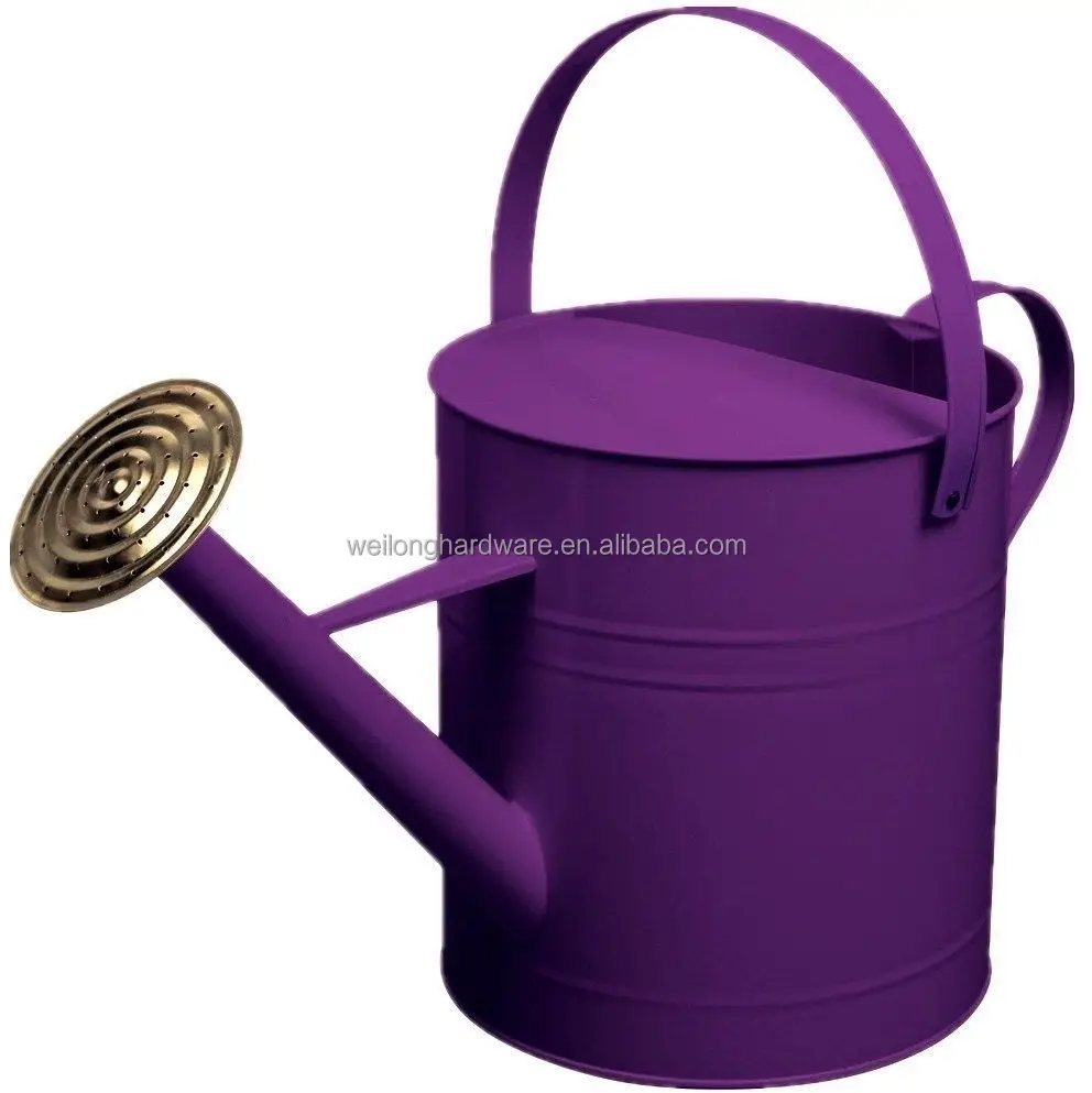 Garden Colour Galvanised Metal Steel Watering Can 9 Litre with Brass Rose