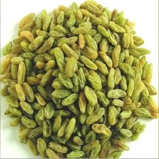 
hot sale green raisin with high quality 