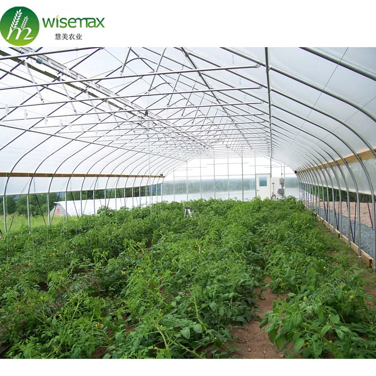 Vegetable production hot galvanized steel frame plastic diy lean to greenhouse