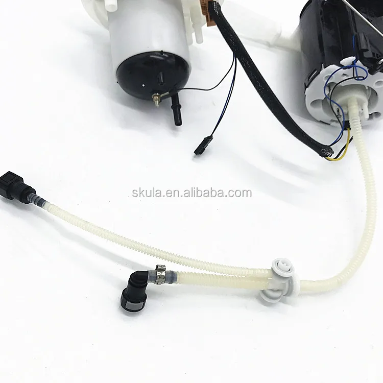 SKULA Auto Parts LR038601 LR038599 LR020016 LR010433 LR005621 Fuel Injection Pumps for freelander Gasoline vehicles 3.2