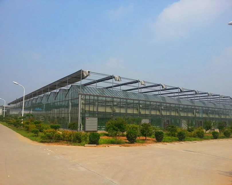 complete glass green house project  and manufacturer for vegetable  planting
