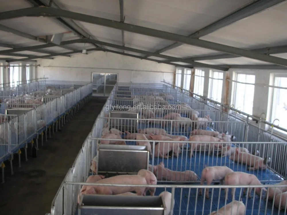 Pig stainless steel feeder with feed adjustable facility pig farming equipment