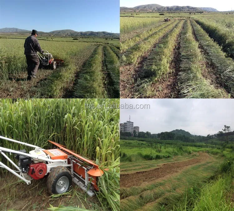 mini rice cutter/rice reaper/rice harvester