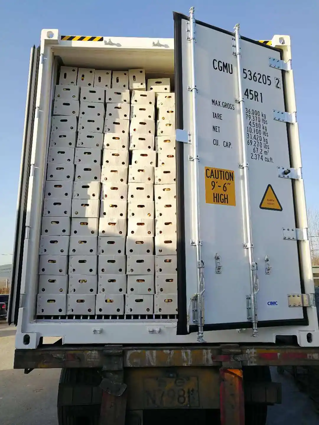 Supply fresh vegetable importers of ginger price of fresh ginger in egypt