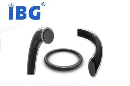 PFA coated FKM o-rings FEP encapsulated silicone o-rings