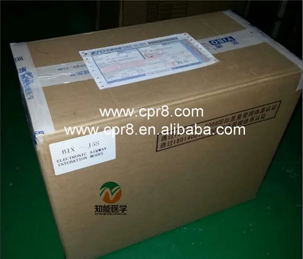 High Level Plastic Training Type Gynaecological Model