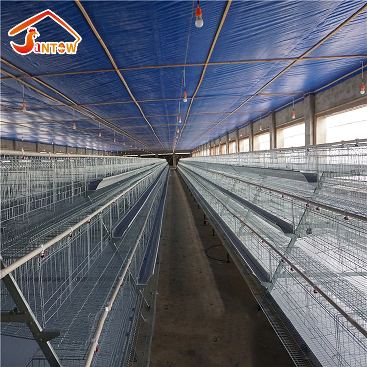 Factory sale battery cages laying hens African automatic chicken cage for 1 day old chicks farm