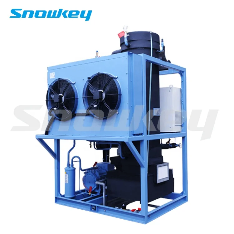 Snowkey Design Ice Tube Machine 3 Ton Philippines