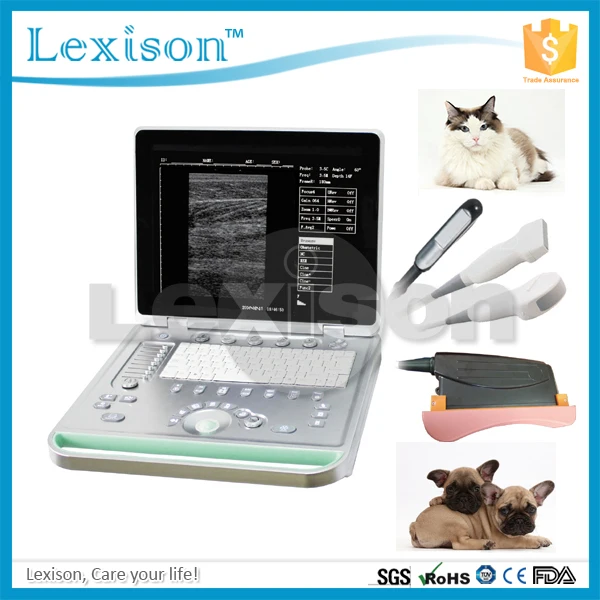 Portable vet ultrasound machine for dog horse pregnancy test