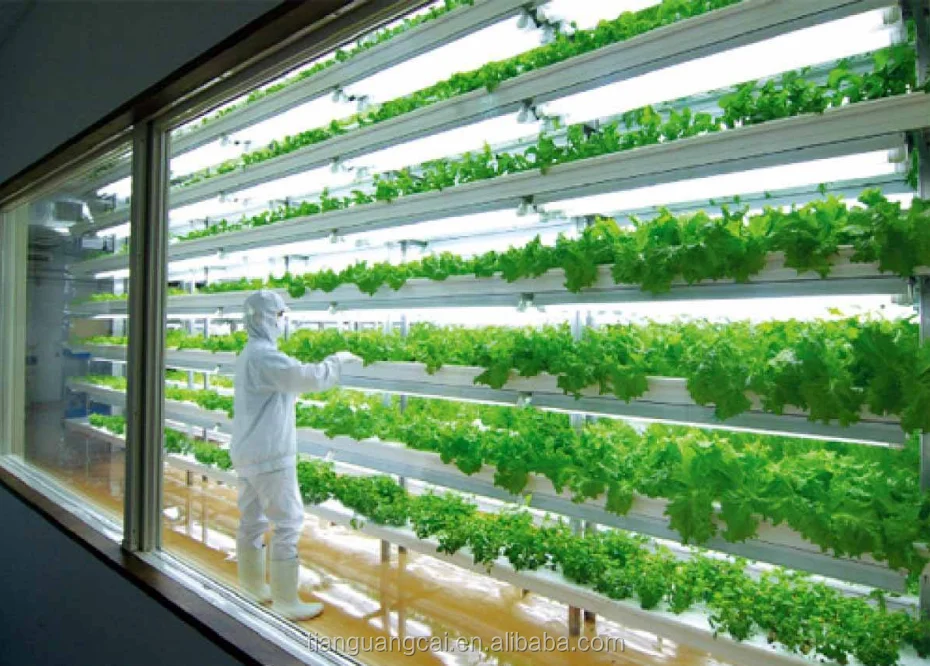 China professional factory epistar chip reverse mount chip datasheet 0.2w 2835 red light smd led