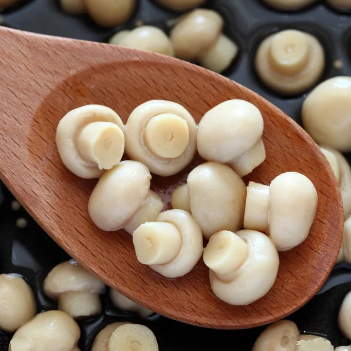 Консервированный гриб cogumelo для рынка Бразилии