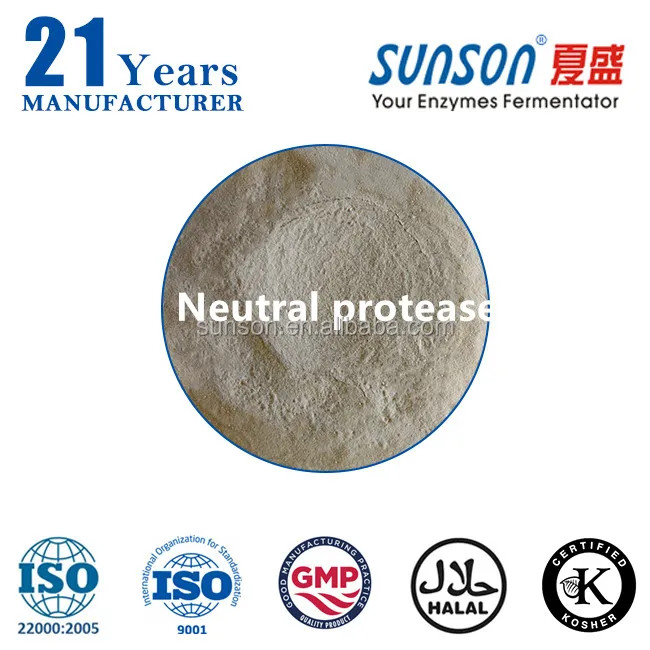 Neutral protease enzyme for alcohol yeast industry