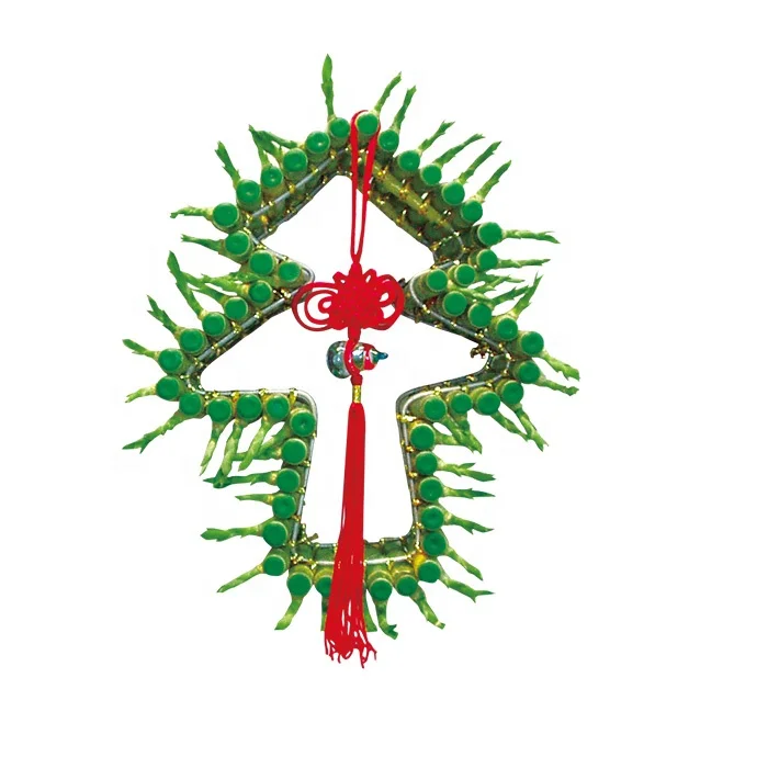 
lucky bamboo house plant lucky bamboo aquarium plant 