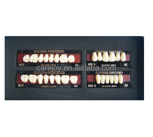 High Performance Dental Shofu Endura Teeth