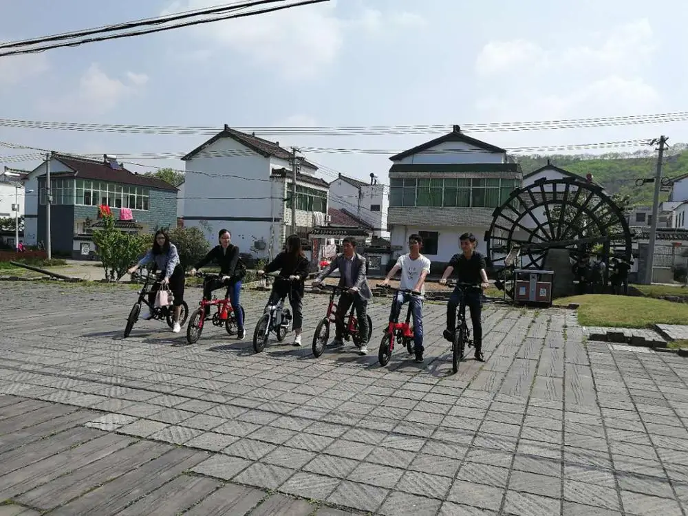 Italian Electric Bike/ Electricbikes 20 Inch Bicicleta Electrica China Electronic Lithium Battery Rear Hub Motor Aluminum Alloy