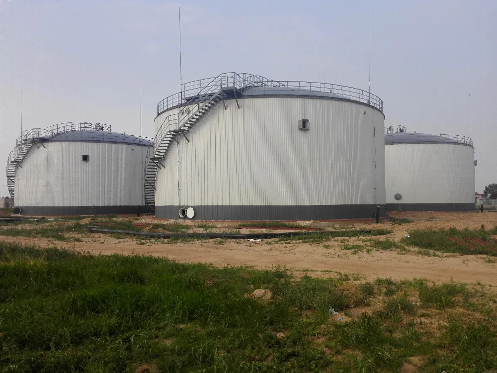 Anaerobic reactor for anaerobic digester of food Water Treatment Project