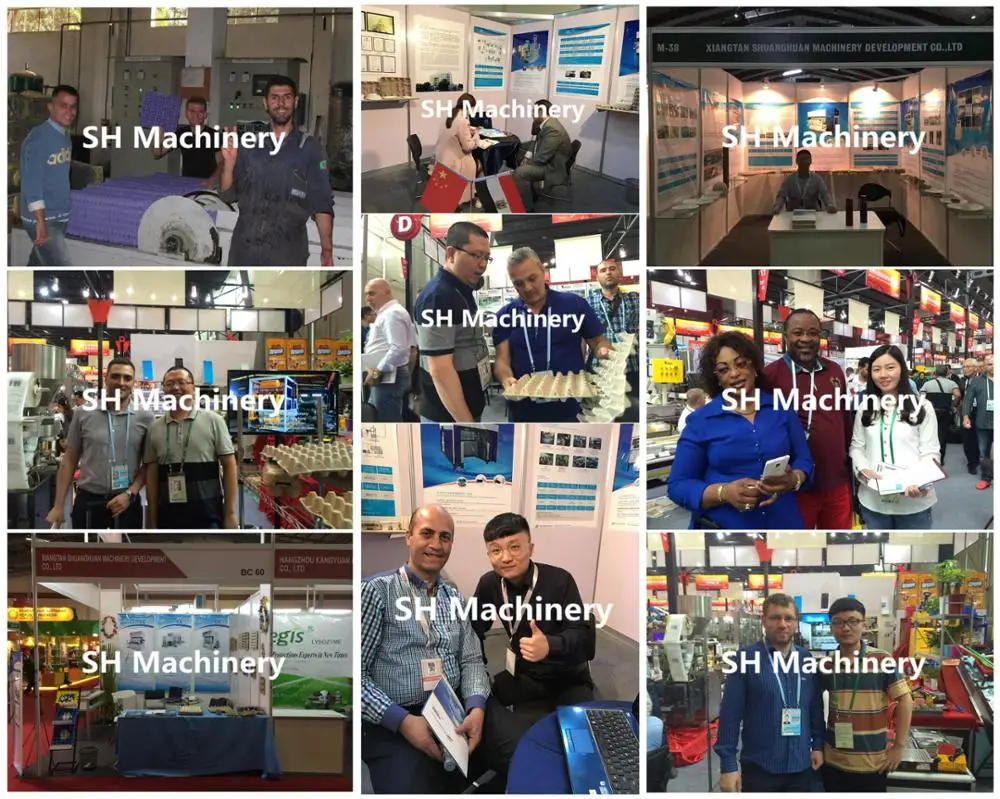 Mini Pulp moulding machine type/manual egg tray machine/small egg carton box machine