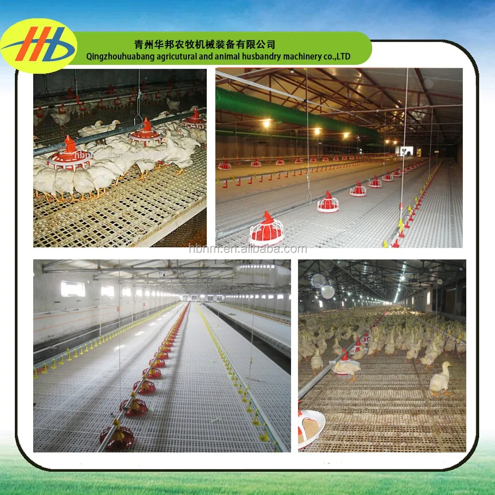 2020  hot sale plastic raised slat floor system for chicken farm house