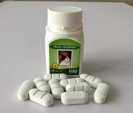 
against worms fenbendazole praziquantel tablets 