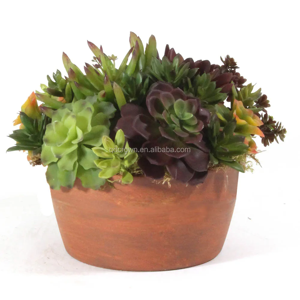 High quality succulents wholesale high quality artificial mini cactus succulent plant