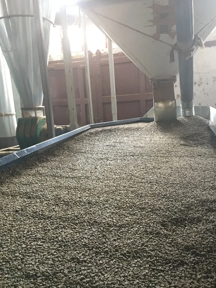 
Nature Green Coffee Bean - Arabica Grade-A 