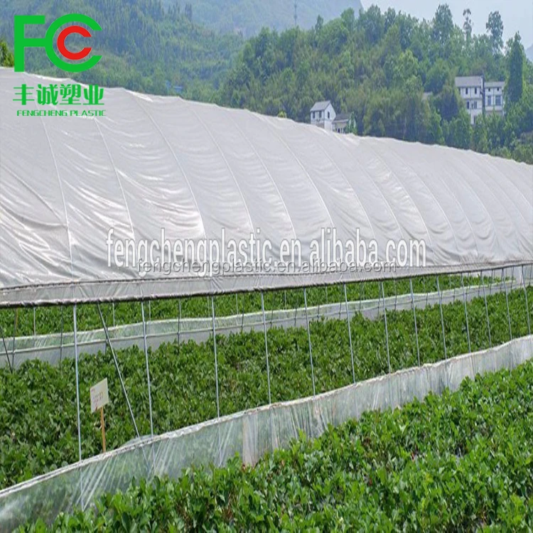 PE greenhouse film, etfe greenhouse film, tunnel plastic greenhouse film agriculture
