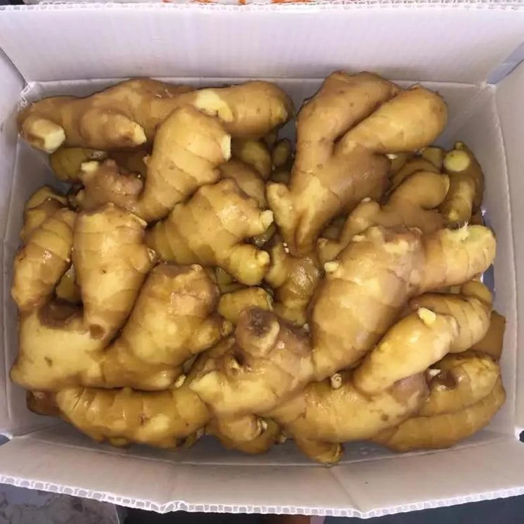 black fresh ginger price Style and Organic ginger market price for ginger