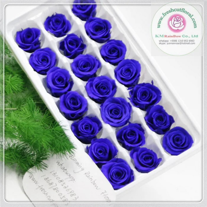 natural mini preserved rose head 2-3cm diameter in size 24 pieces/box