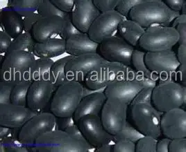 
NEW crop black kidney bean 