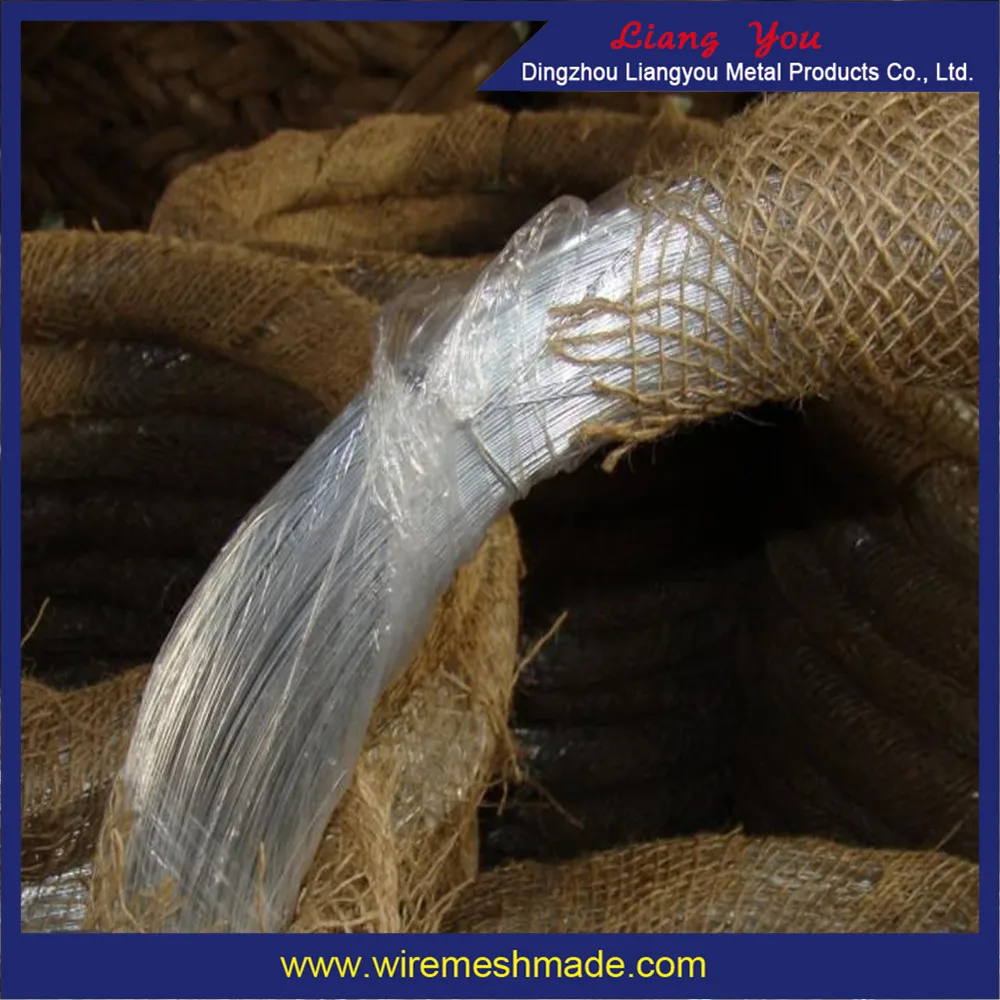 Hot Sale Galvanized Wire Mesh Galvanized Steel Wire