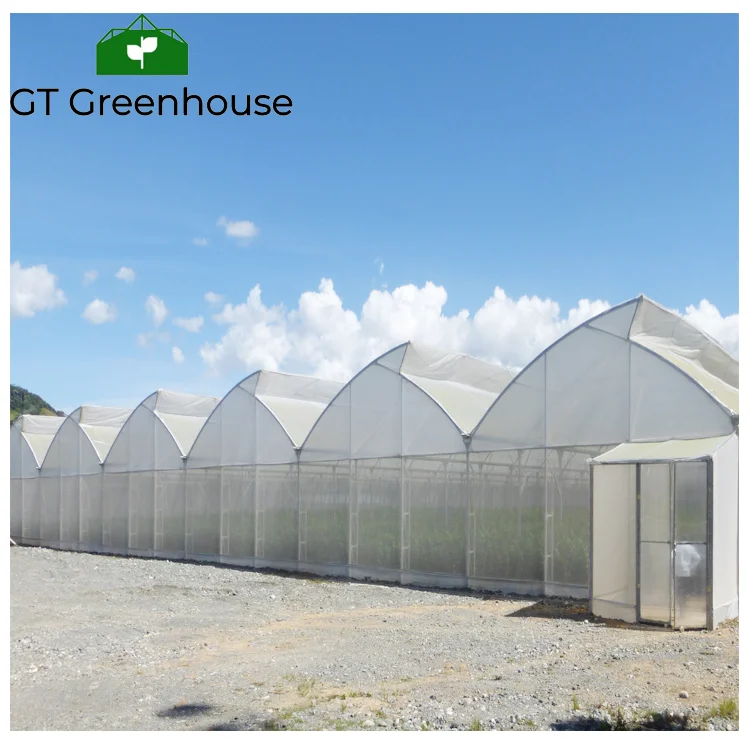 Agricultural Tropical Open Roof Greenhouses