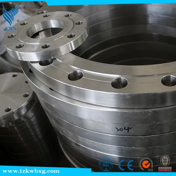 EN10272 316L Stainless steel sealing whorl flange