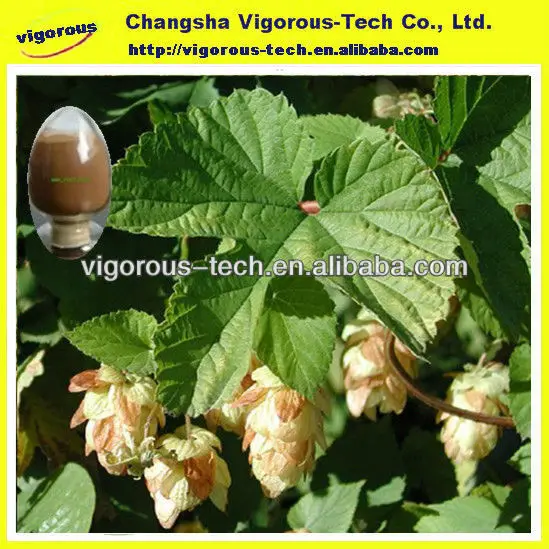 чисто 0.3% хмель порошок выдержки выдержка флавоноиды