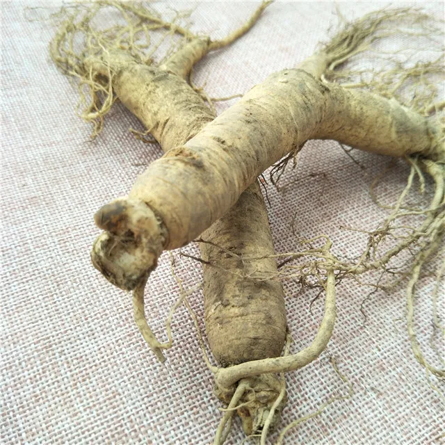 
Ren shen Chinese Natural crude ginseng Tonic Fresh Ginseng Root for sale 