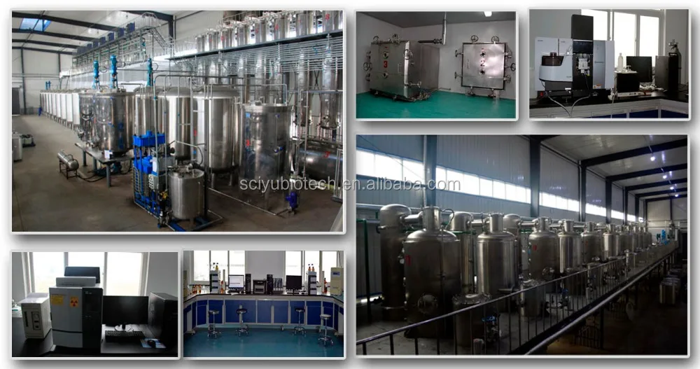 Super Food fucoidan Extract powder HPLC 85% 98%