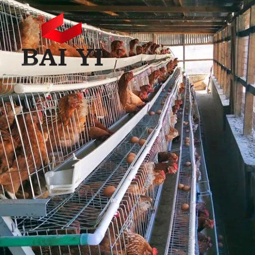Best Selling Layer Chicken Battery Cage Poultry Equipment In Zimbabwe,South Africa,Pakistan