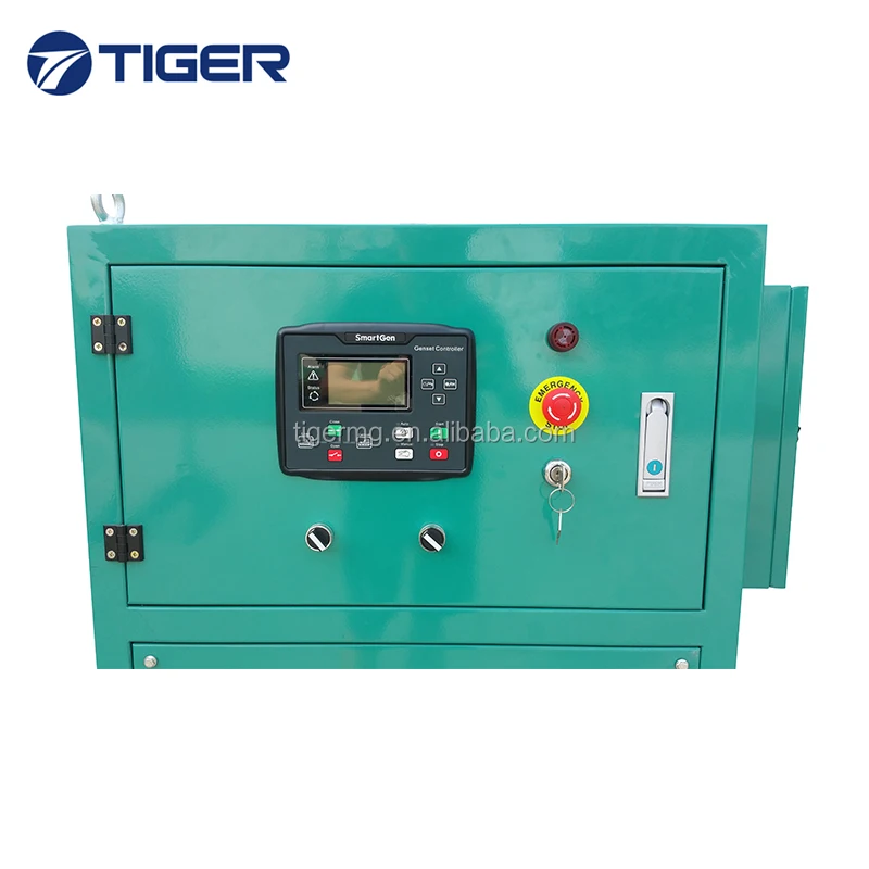 Home Use Small Power Convenient Operation 10KVA Lpg Generator