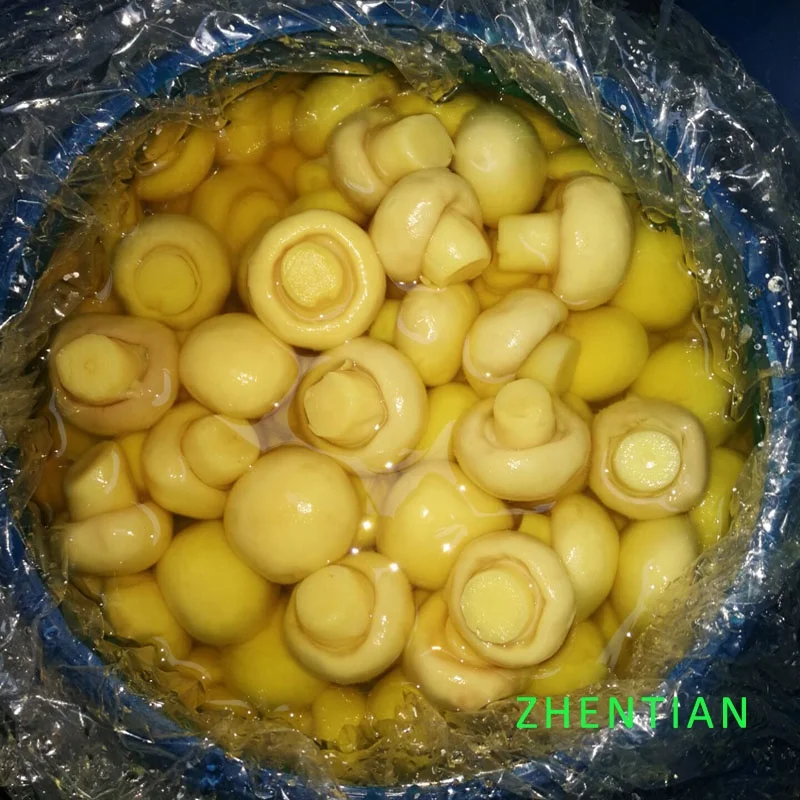 
Champignon mushroom in drums 