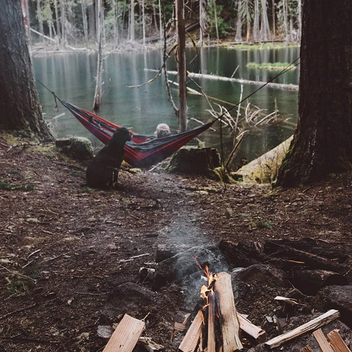 
Free Sample Lightweight Nylon Hamaca Doble , Swing Hanging Portable Lightweight Camping Hammock 