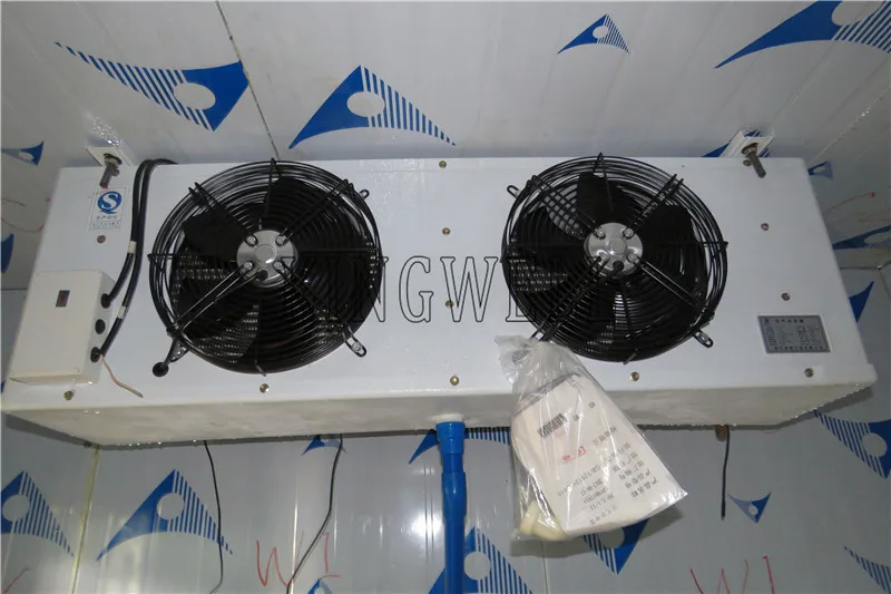 Manufacturer Made Cold Room For Vegetable / Ice / Fish / Meat Cold Storage