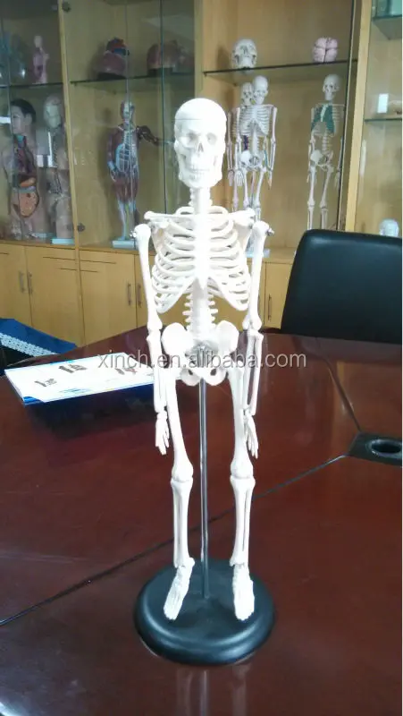 Маленькая липкая игрушка-скелет