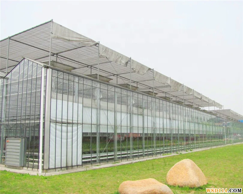 complete glass green house project  and manufacturer for vegetable  planting