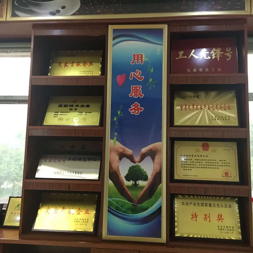 
600 mesh rice protein powder 