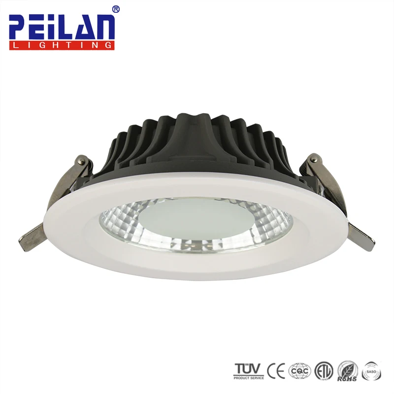 
Latest Products Market 20w 30w 12W Ultra Slim Led Gimbal Wallwasher Downlight 