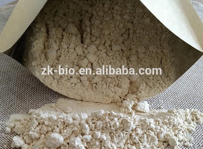 Натуральный аллицин Alliin без запаха экстракт чеснока в порошке