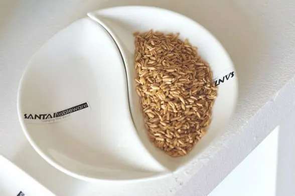 Chaozhou 2019 Dinner Set Restaurant Plates Fine Porcelain Ceramic Tableware