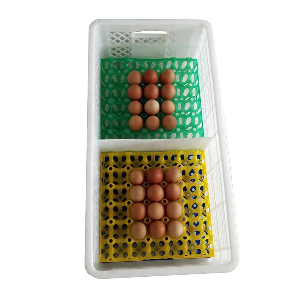 egg box plastic (9)