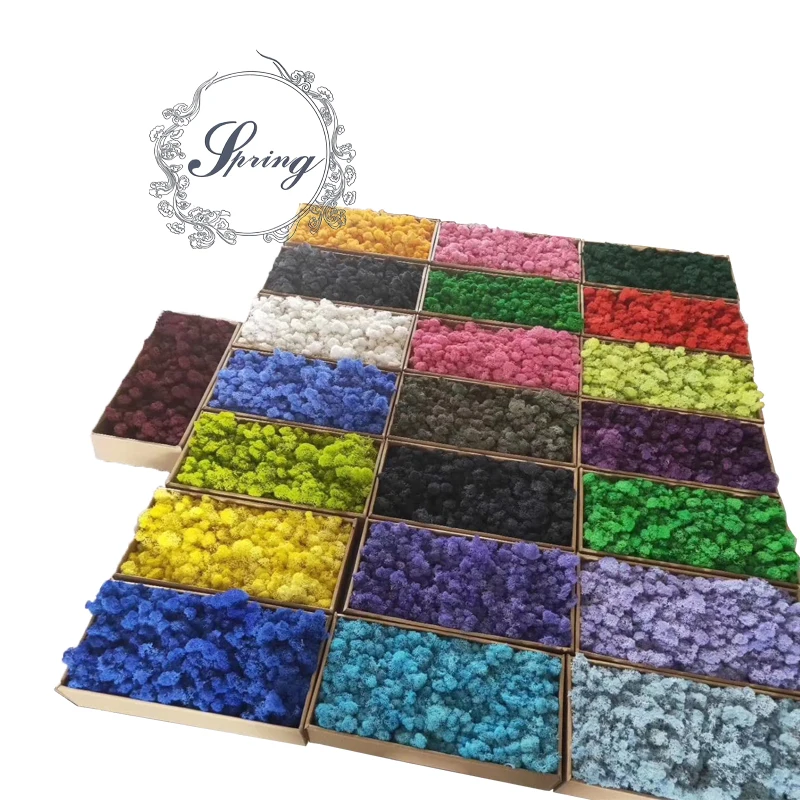 Wholesale stabilized moss preserved for indoor decoration