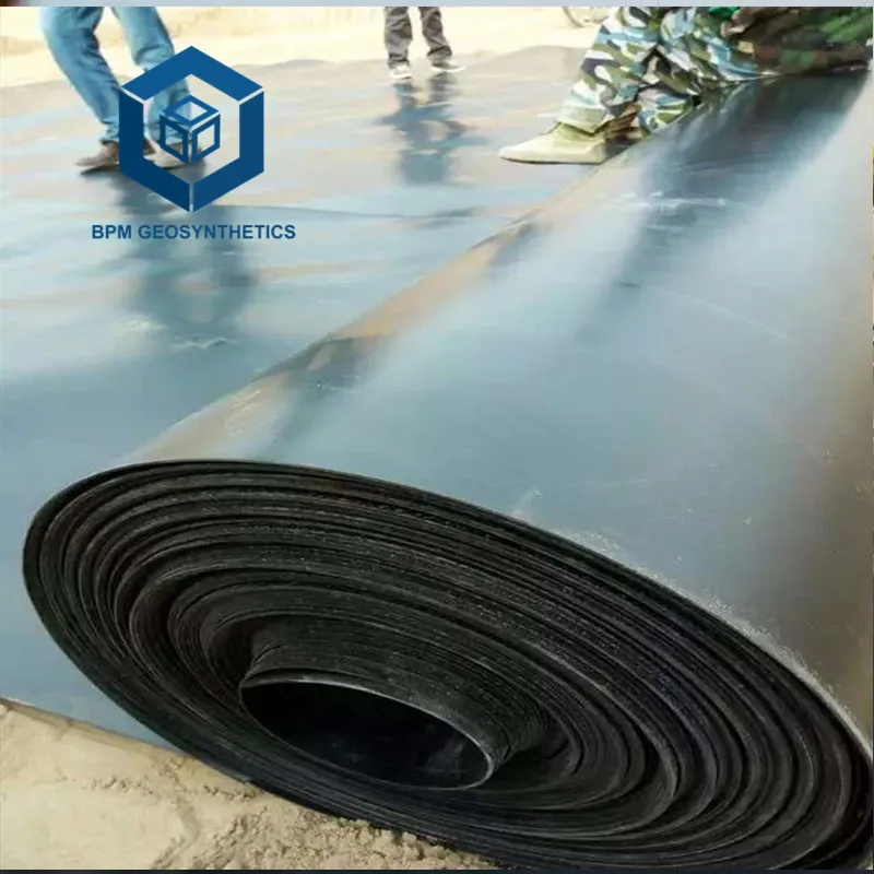 Dam Liners for Catfish Farming