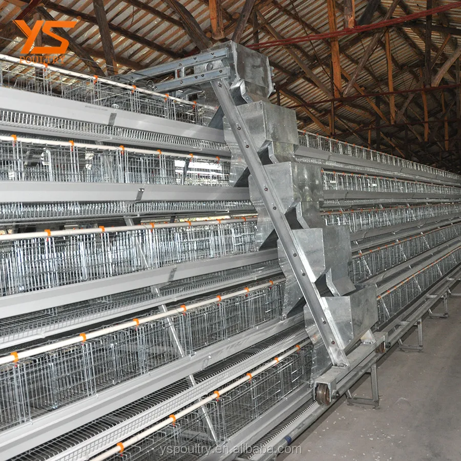 Automatic Bird Breeding Cages Layer Cages